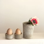 Anemone in Vase + Eierbecher aus Beton