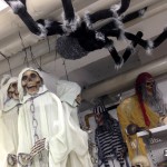 Spinne und Skelette für Halloween