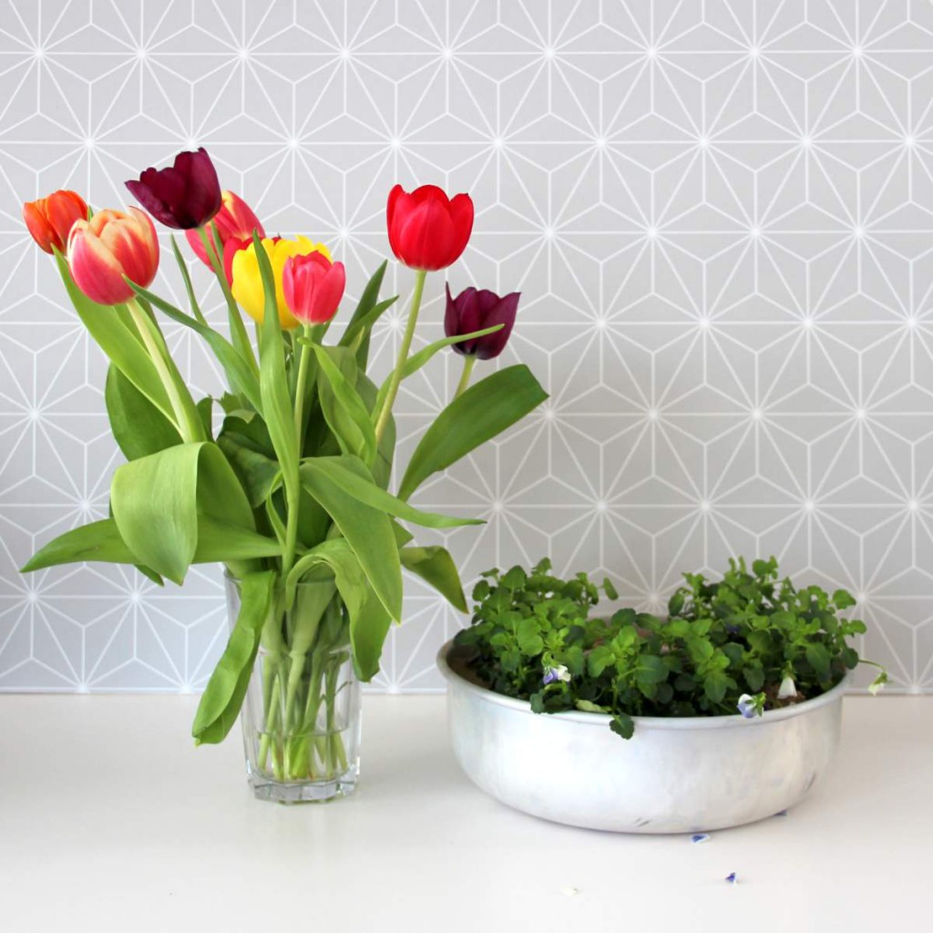 Frühling Archives - knobz.de