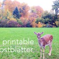 free printable Herbstblätter