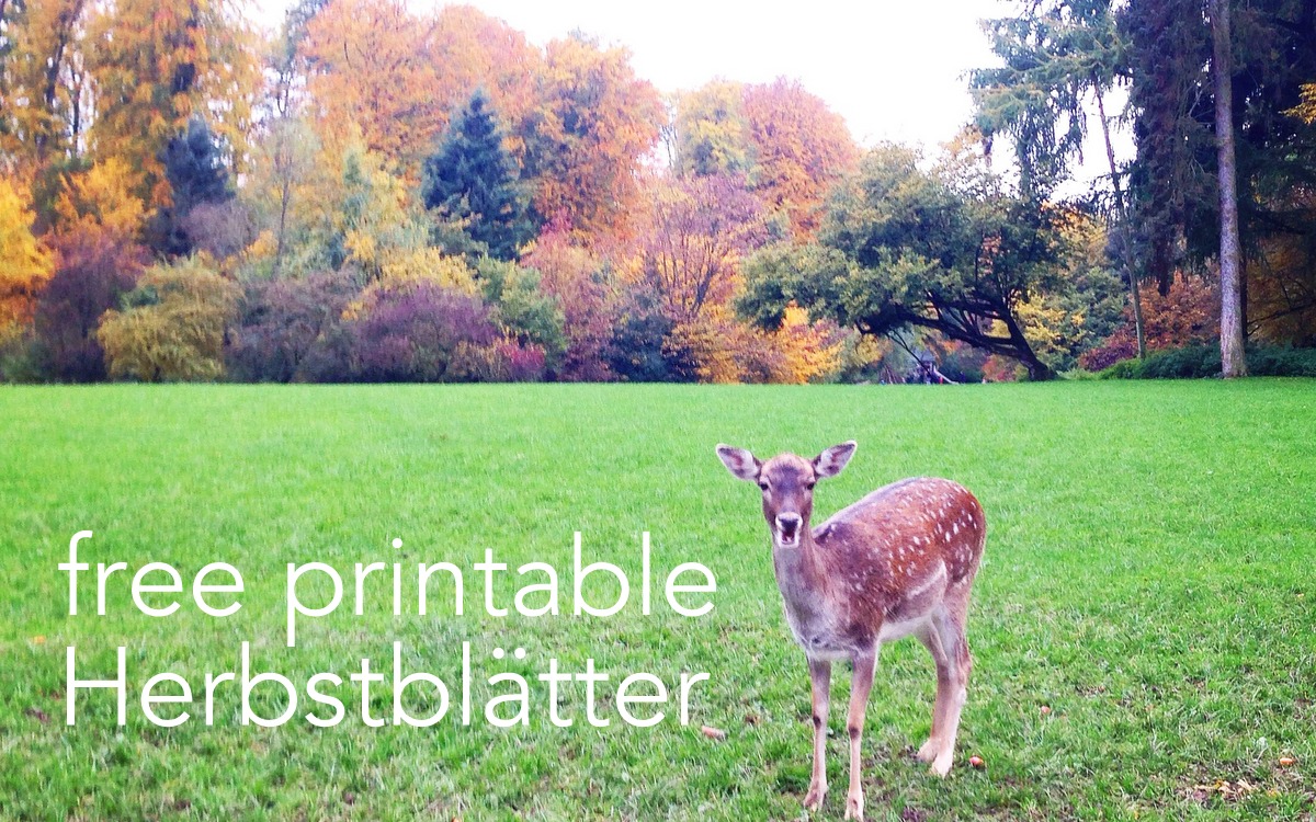 free printable Herbstblätter