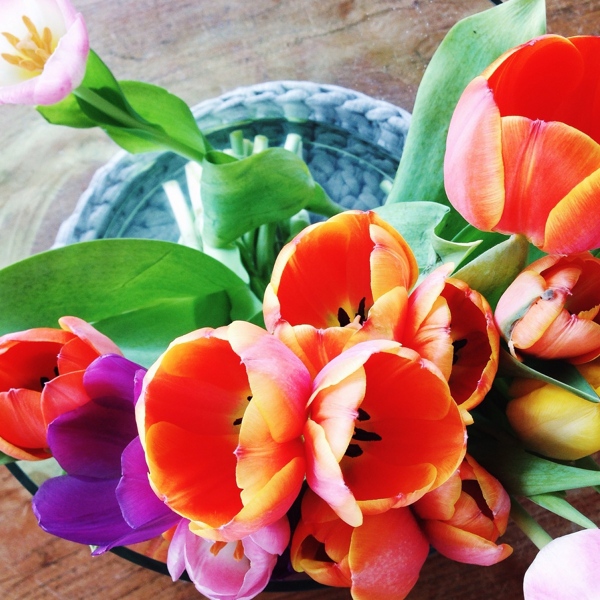 Sonntag // Blumen // Frühling knobz.de