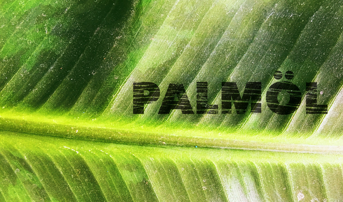Palmöl in Lebensmitteln, Palmöl vermeiden, Kekse ohne Palmöl